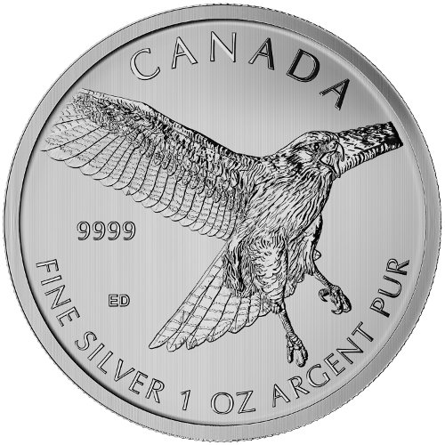2015 1 oz Canadian Silver Red-Tailed Hawk Coin
