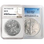 1 oz Silver American Eagles MS70 (Varied Year, Varied Label, PCGS/NGC/CAC)