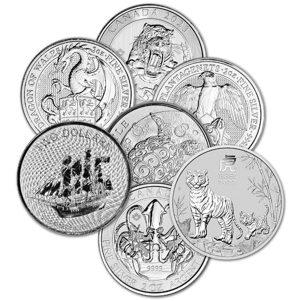 2 oz Silver Sovereign Mint Coins Misc Type