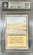 1993 MTG Arabian Nights Elephant Graveyard Magic the Gathering BGS 8.5 NearMint+