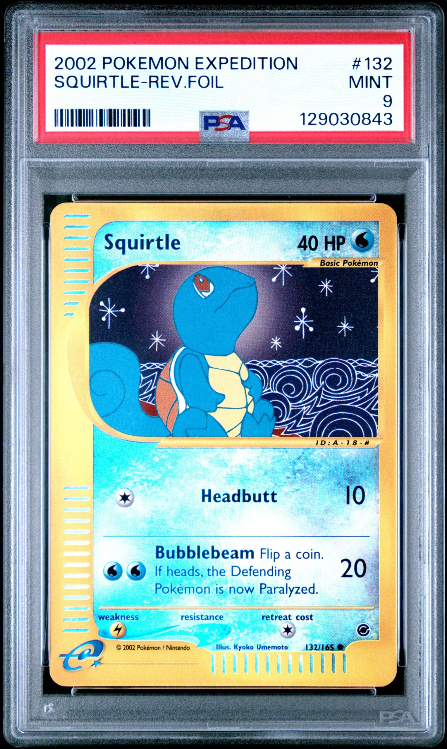 EXPEDITION SQUIRTLE
