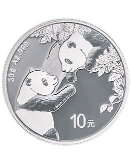 2023 Chinese Panda 30g Silver Coin