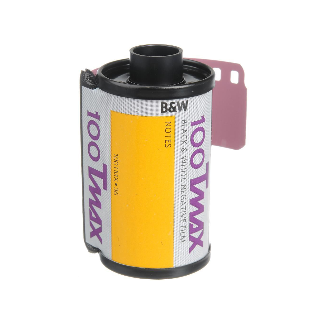 Kodak Professional T-Max 100 Black & White Negative Film (35mm Roll Film, 36 Exp