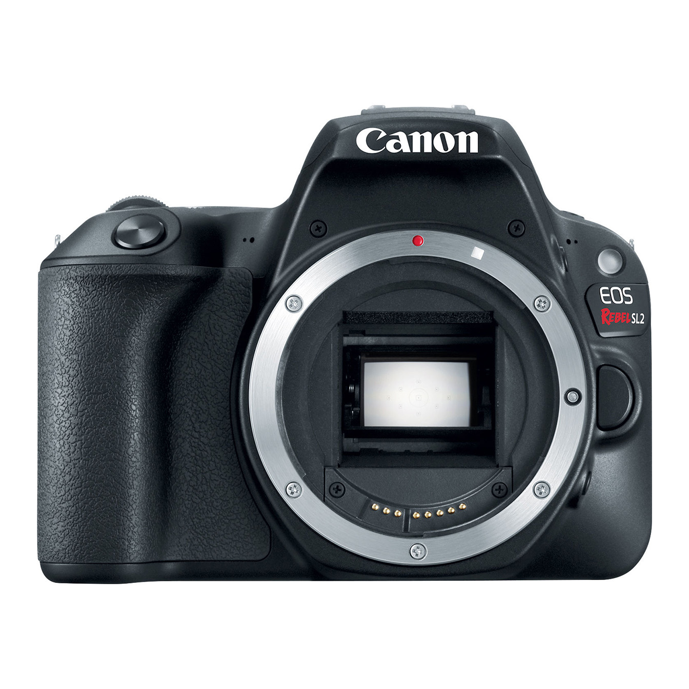 Canon EOS Rebel SL2 DSLR Camera (Black, Body Only)