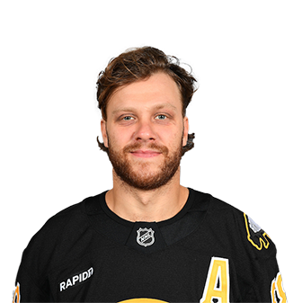 David Pastrnak