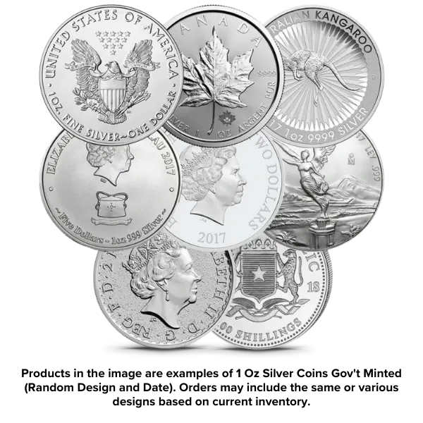 1 Oz Silver Coins Gov't Minted (Random Design and Date)