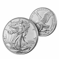 2023 1 oz American Silver Eagle Coin (BU)