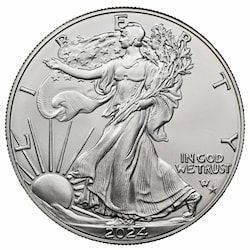 2024-(P) Star Privy 1 oz American Silver Eagle Coin BU
