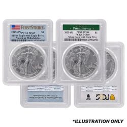 NGC/PCGS MS-69 1 oz American Silver Eagle Coin - Random Year and Spotted